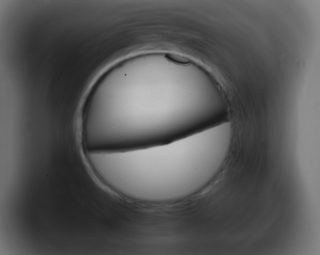 X0000100401519200806060843