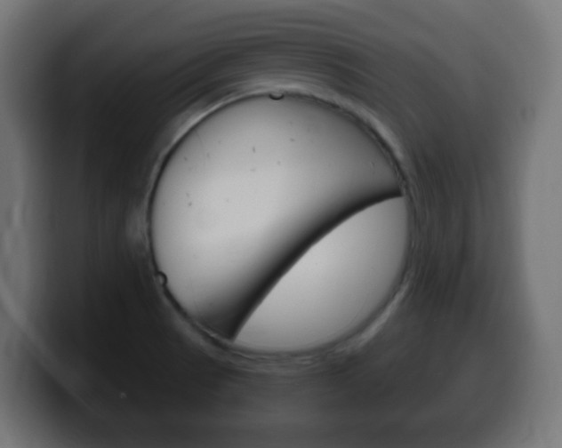 X0000100401521200806060843