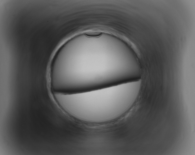 X0000100401522200806060844