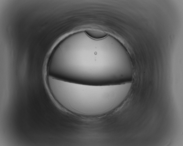 X0000100401523200806060844