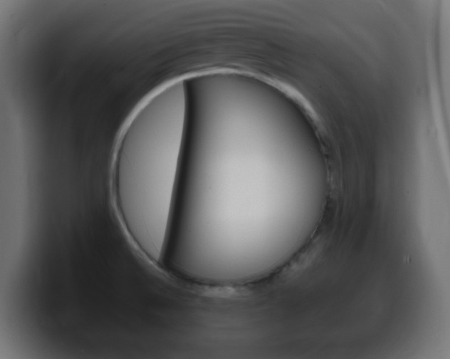 X0000100401524200806060844
