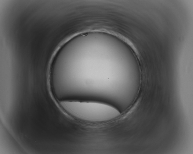 X0000100401525200806060844