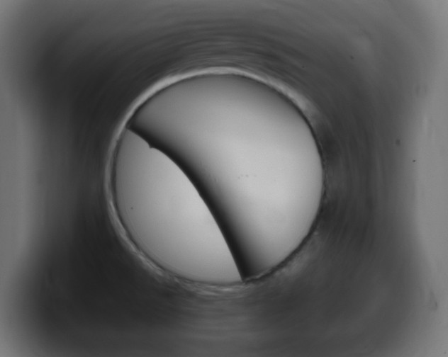 X0000100401526200806060844