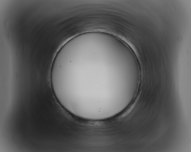 X0000100401529200806060844