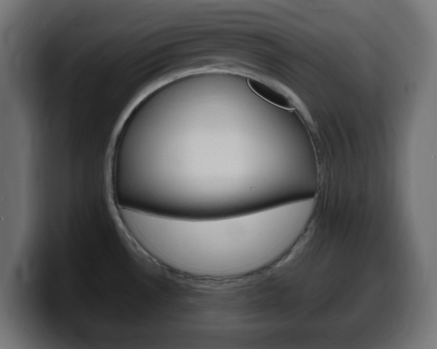 X0000100401530200806060844