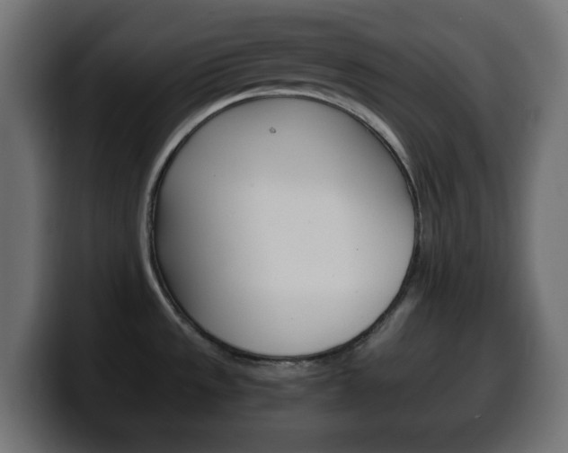 X0000100401533200806060844