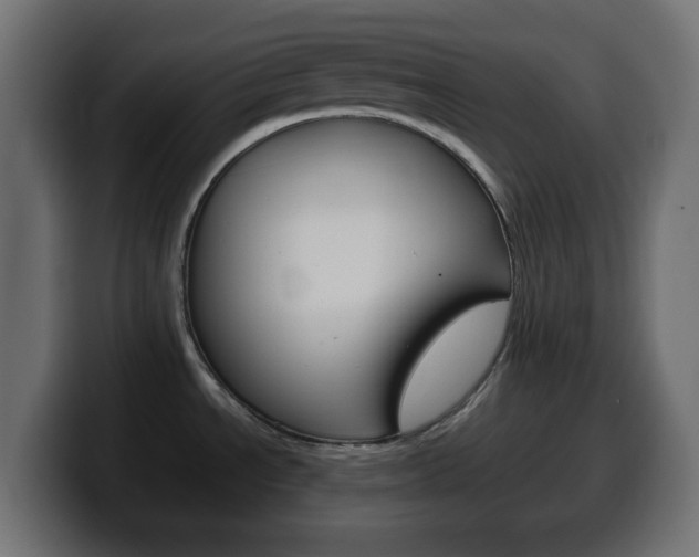 X0000100401534200806060844