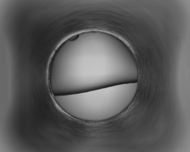 X0000100401535200806060844