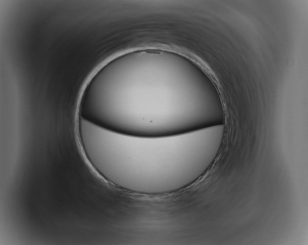 X0000100401536200806060844