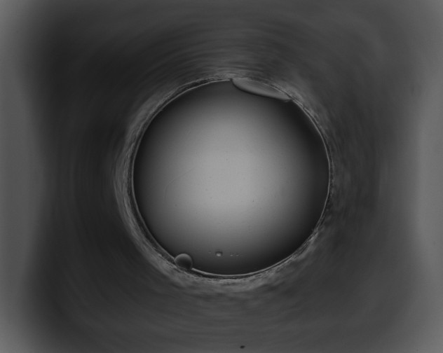 X0000100400001200806061326