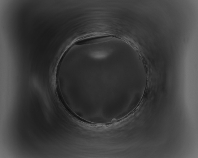 X0000100400002200806061326