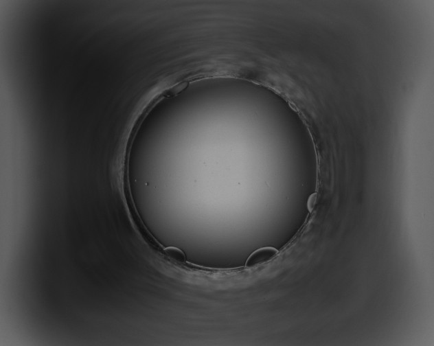 X0000100400003200806061326