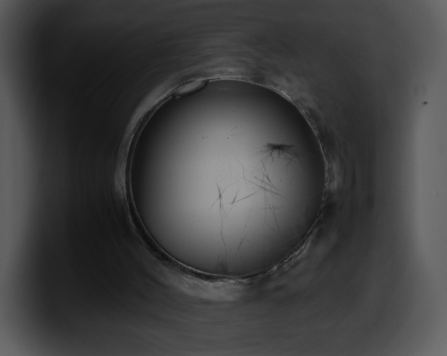 X0000100400004200806061326