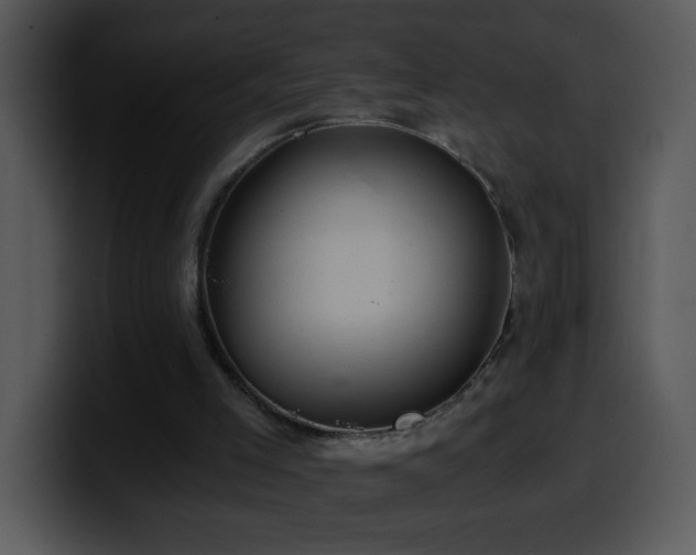 X0000100400005200806061326