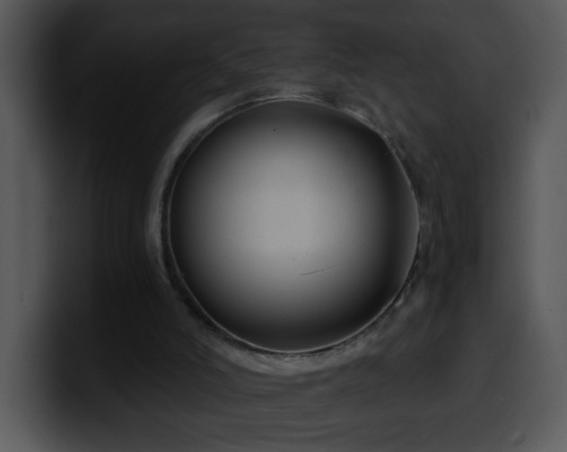 X0000100400006200806061326