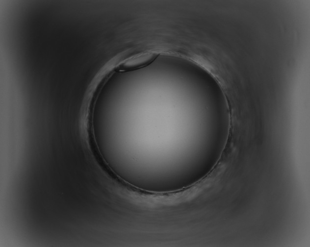 X0000100400007200806061326