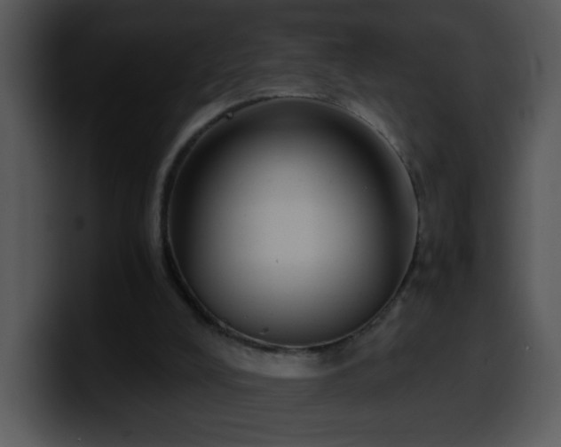 X0000100400008200806061326