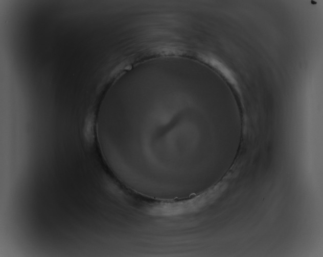 X0000100400009200806061326