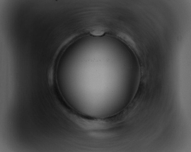 X0000100400012200806061326