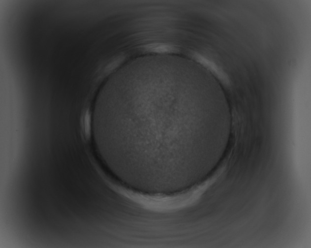X0000100400014200806061326