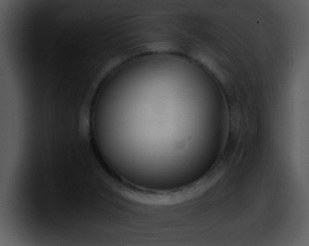 X0000100400015200806061326