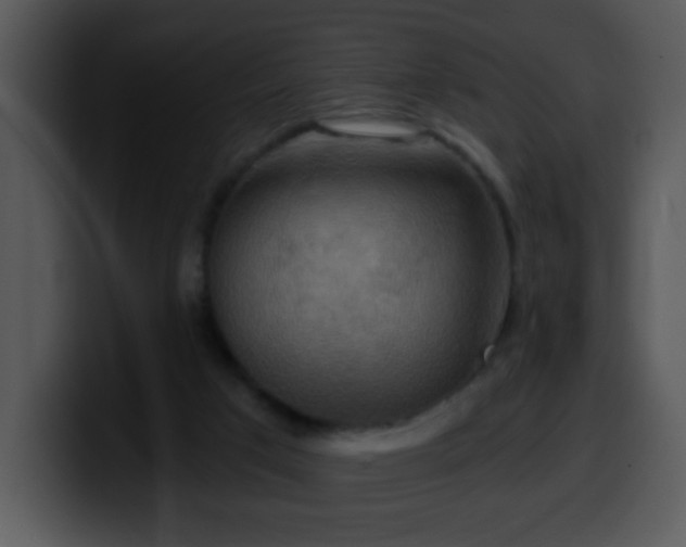 X0000100400017200806061326
