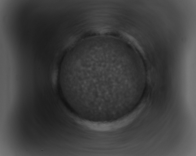X0000100400018200806061326