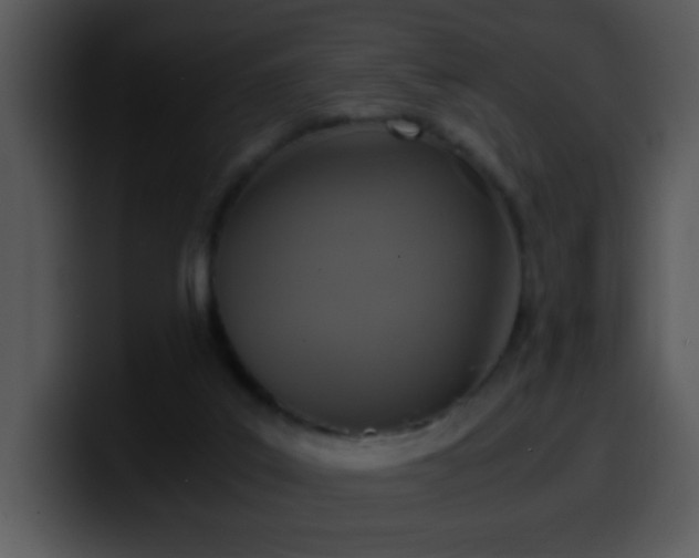 X0000100400019200806061326