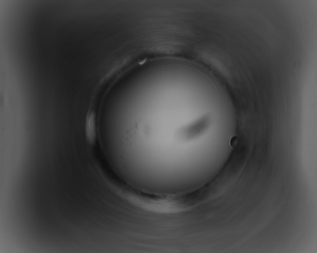 X0000100400020200806061326