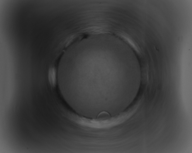 X0000100400022200806061326