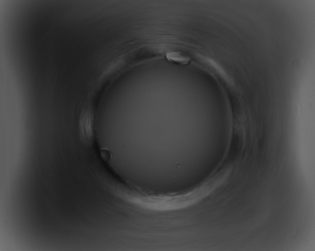 X0000100400023200806061326