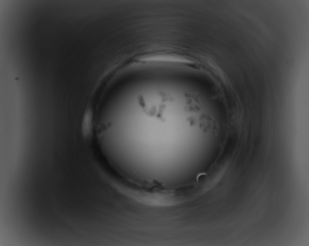 X0000100400024200806061326