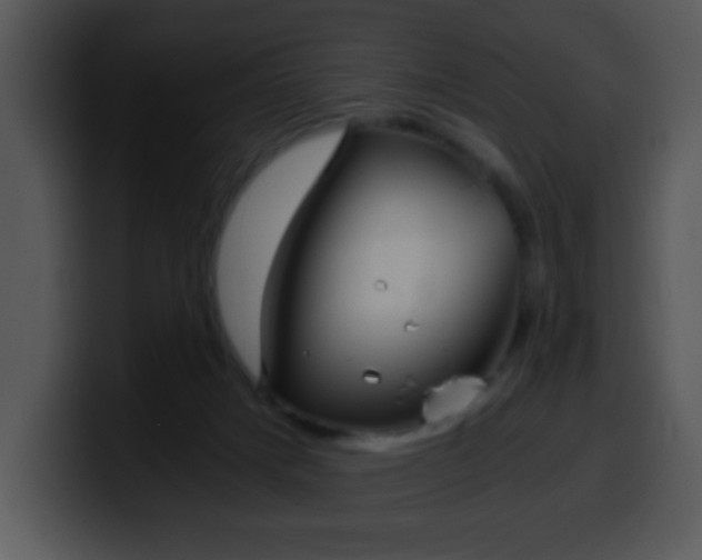 X0000100400025200806061326