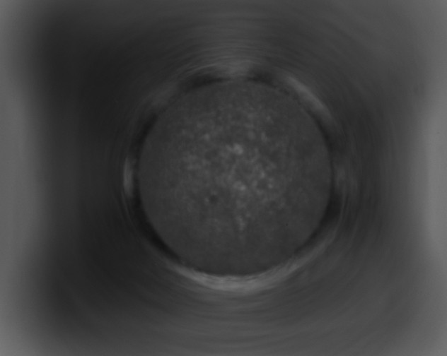 X0000100400026200806061326