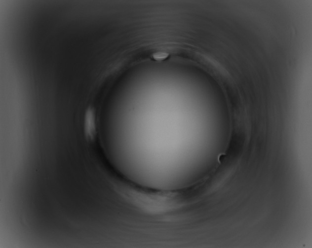 X0000100400028200806061326