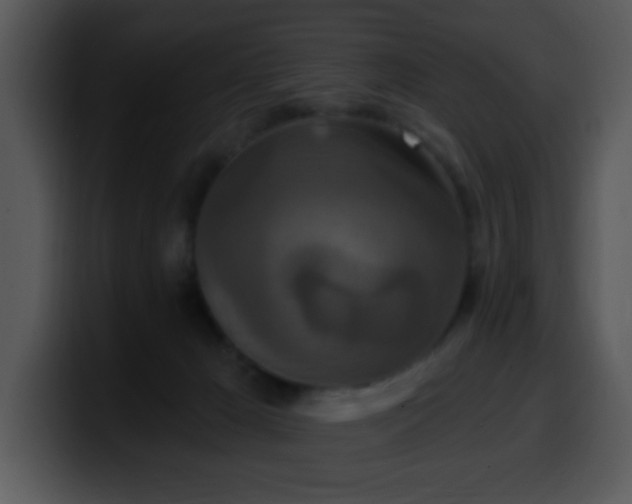 X0000100400029200806061326