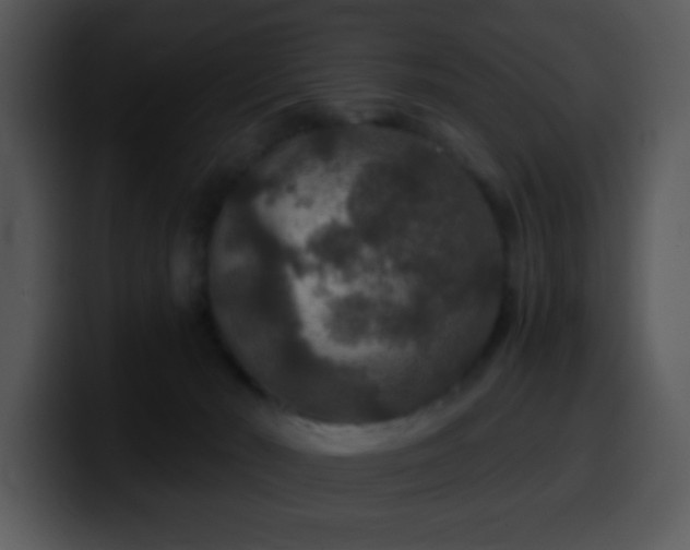 X0000100400030200806061326