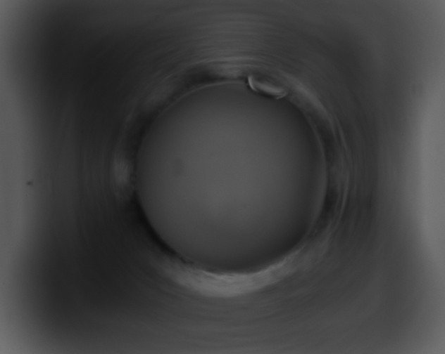 X0000100400031200806061326