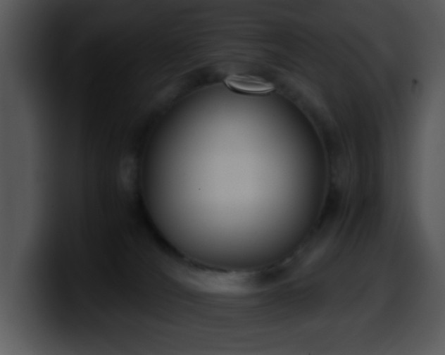 X0000100400036200806061326