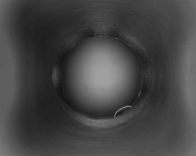 X0000100400038200806061326