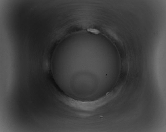 X0000100400039200806061326