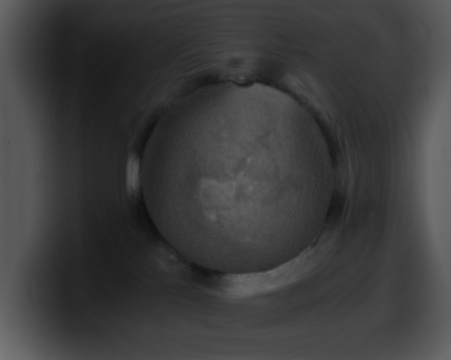 X0000100400041200806061326