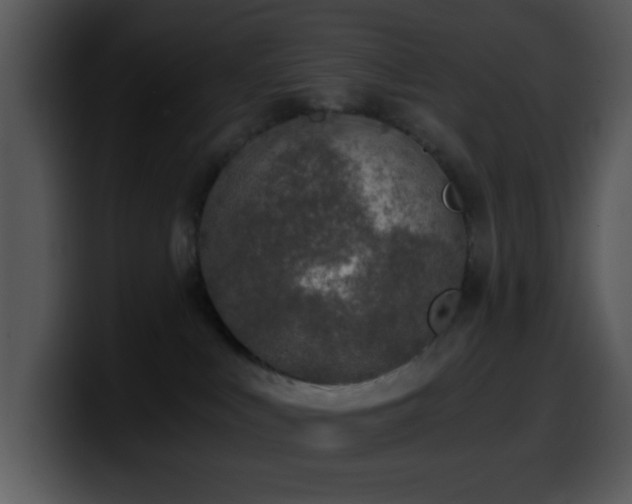 X0000100400043200806061326