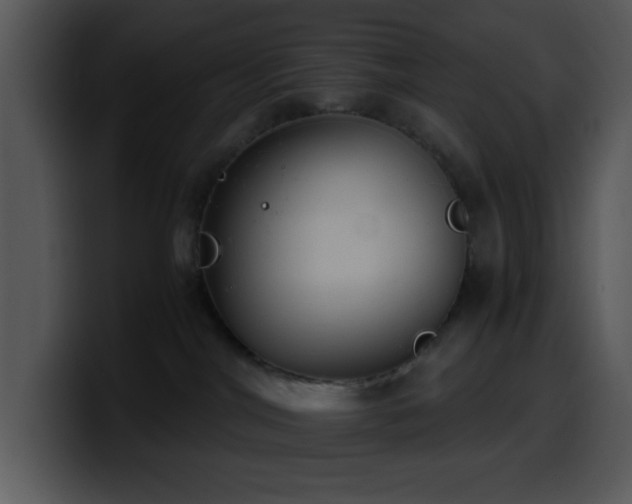 X0000100400044200806061325