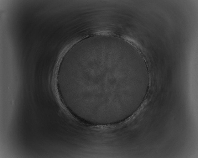 X0000100400049200806061325