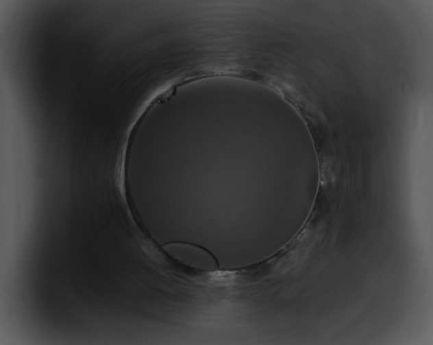 X0000100400052200806061325