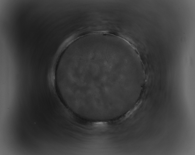 X0000100400053200806061325
