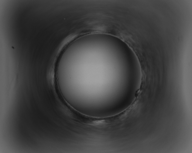 X0000100400054200806061325
