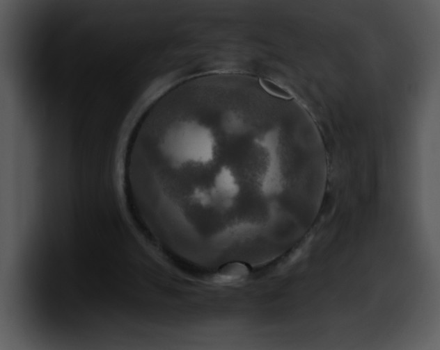 X0000100400055200806061325