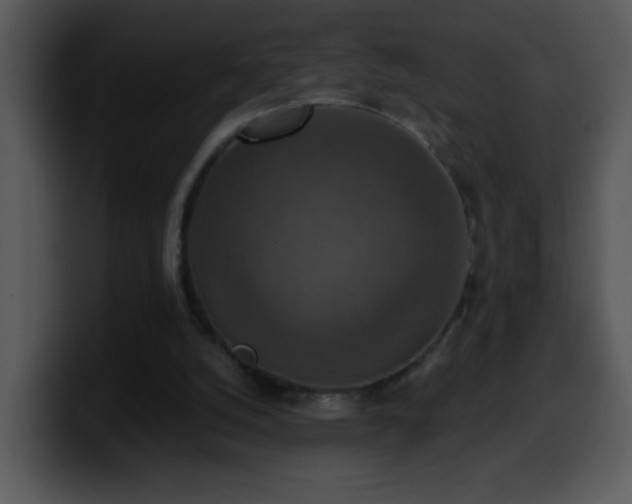 X0000100400056200806061325